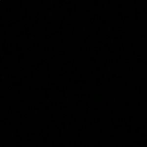 Meet your Posher, Maddie